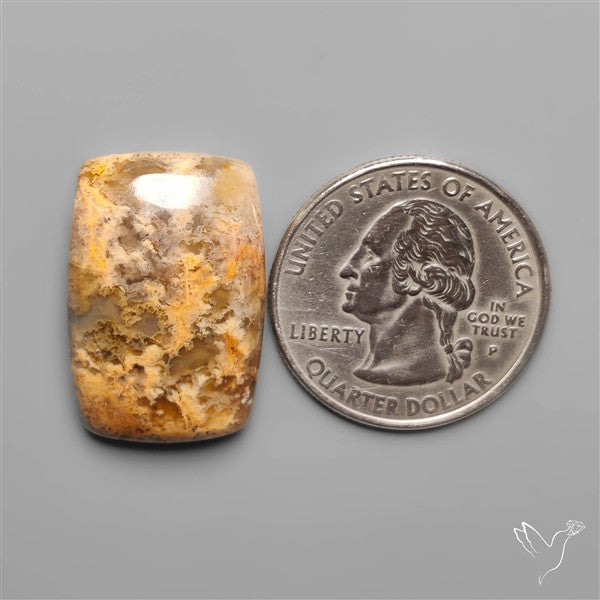 Northridge Plum Agate