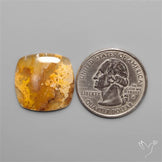 Northridge Plum Agate