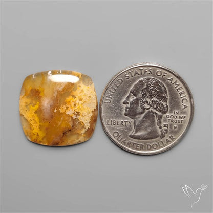 Northridge Plum Agate