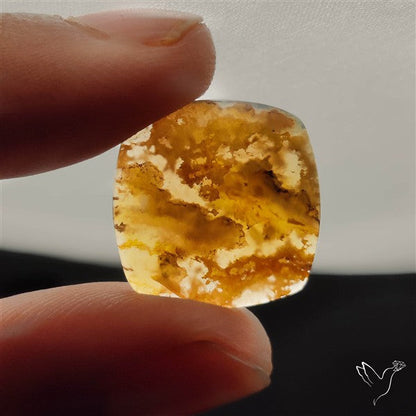 Northridge Plum Agate