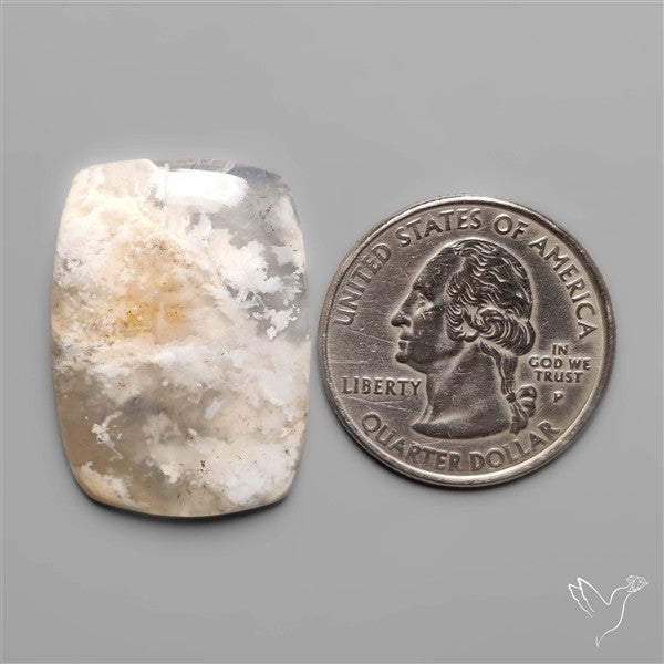 Stinking Water Plum Agate