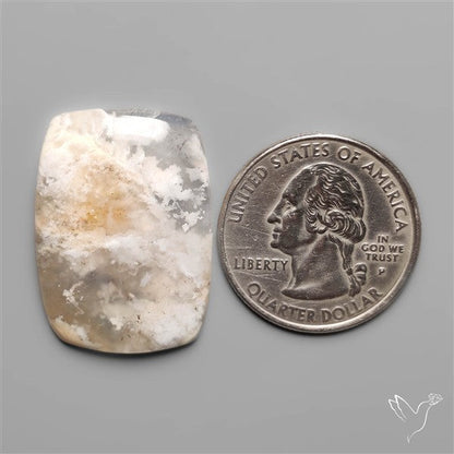 Stinking Water Plum Agate