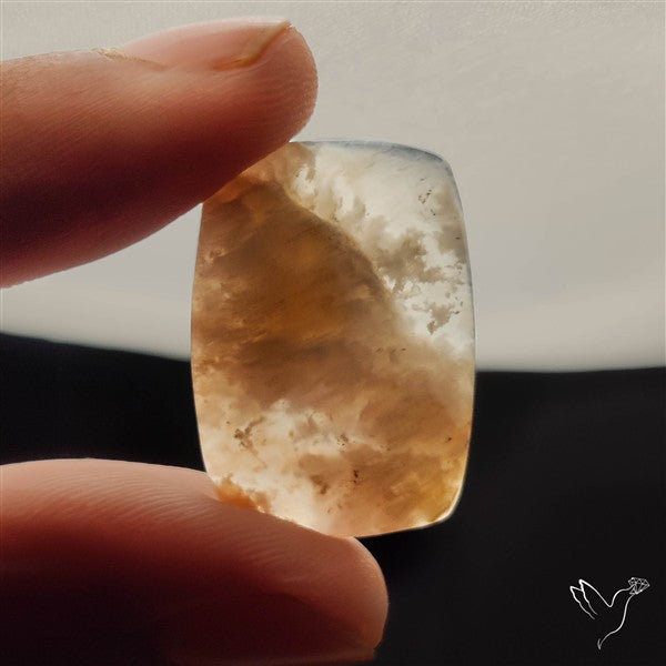 Stinking Water Plum Agate