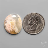 Stinking Water Plum Agate
