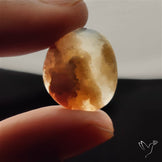 Stinking Water Plum Agate