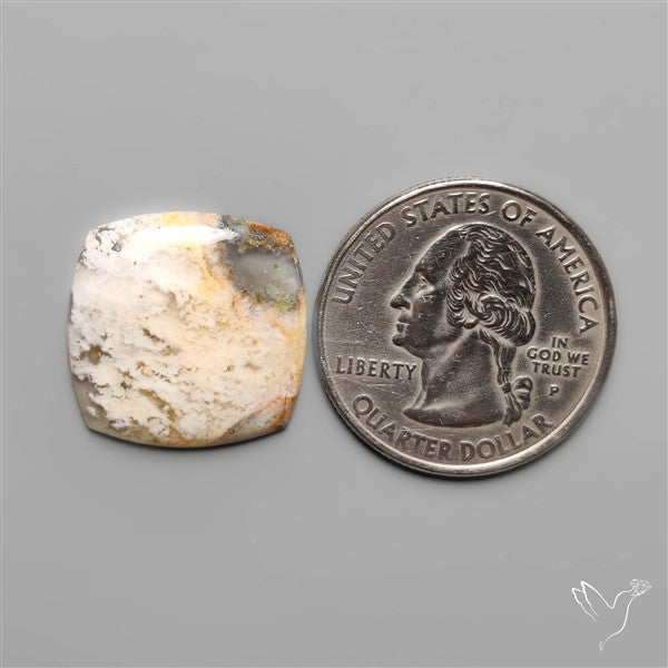 Stinking Water Plum Agate