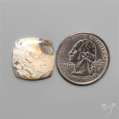 Stinking Water Plum Agate