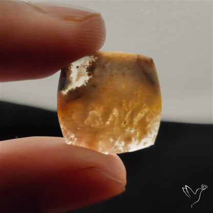 Stinking Water Plum Agate