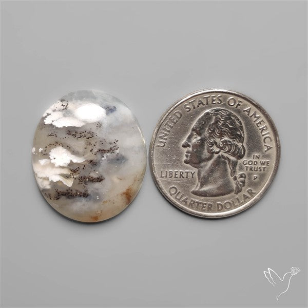Stinking Water Plum Agate