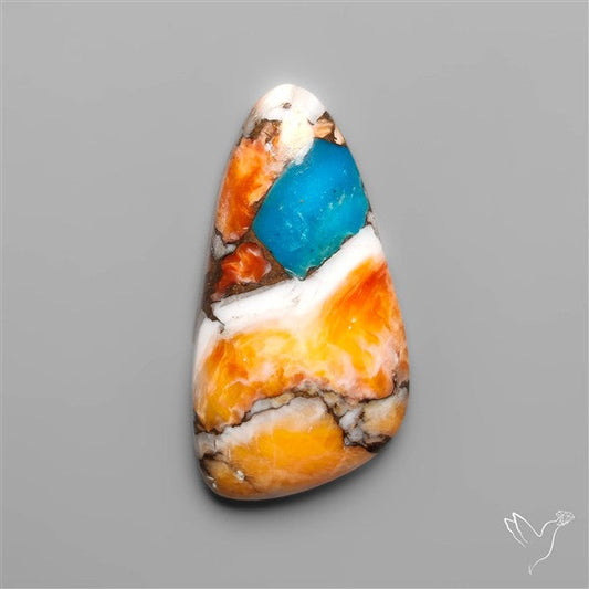 Spiny Oyster Mohave Turquoise