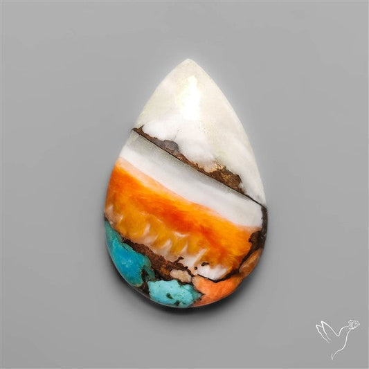 Spiny Oyster Mohave Turquoise