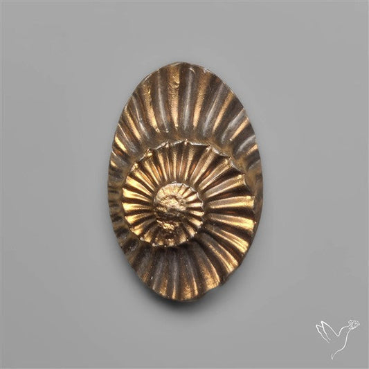 Rare Pyritized Ammonite Negative Fossil