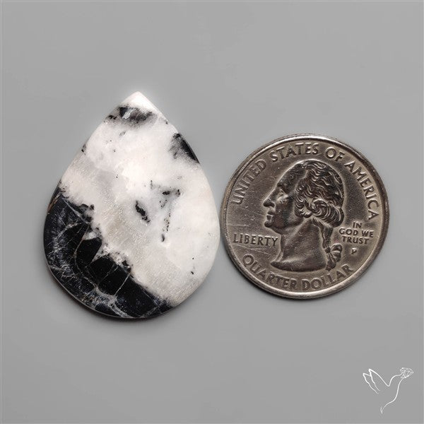 White Buffalo Turquoise