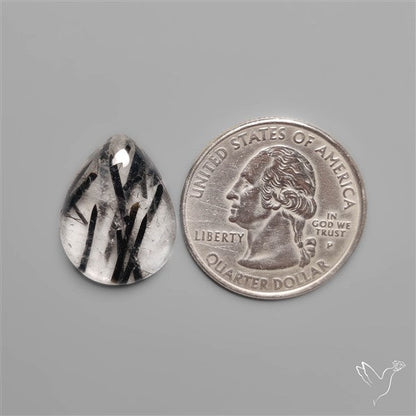 Black Tourmalinated Quartz Cabochon