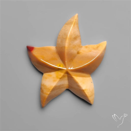 Bicolor Mookite Star Fish