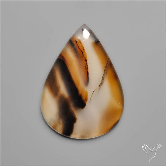 Monatana Agate Cabochon