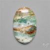 BC Ocean Picture Jasper