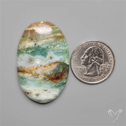 BC Ocean Picture Jasper