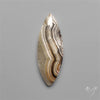 Crazy Lace Agate