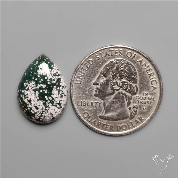 Orbicular Ocean Jasper