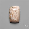 Orbicular Ocean Jasper