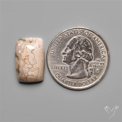 Orbicular Ocean Jasper