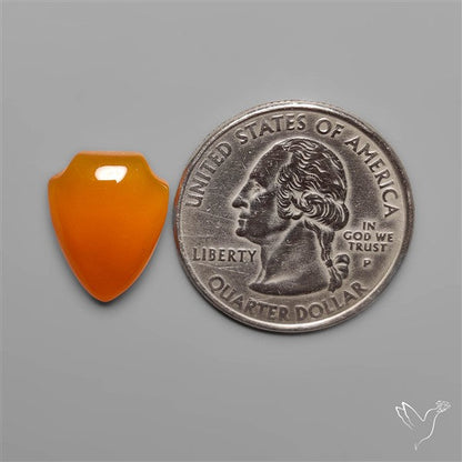 Carnelian Agate Cabochon