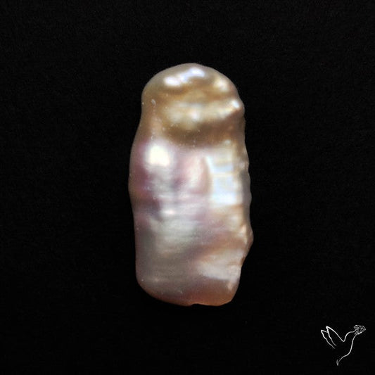 Raw Fresh Water Biva Pearl