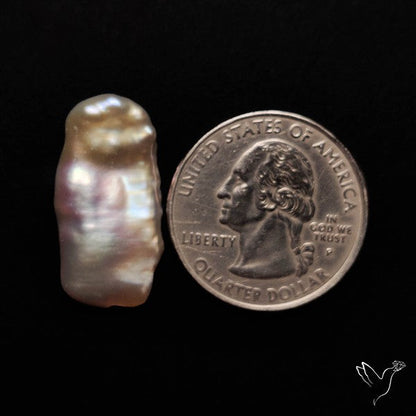 Raw Fresh Water Biva Pearl