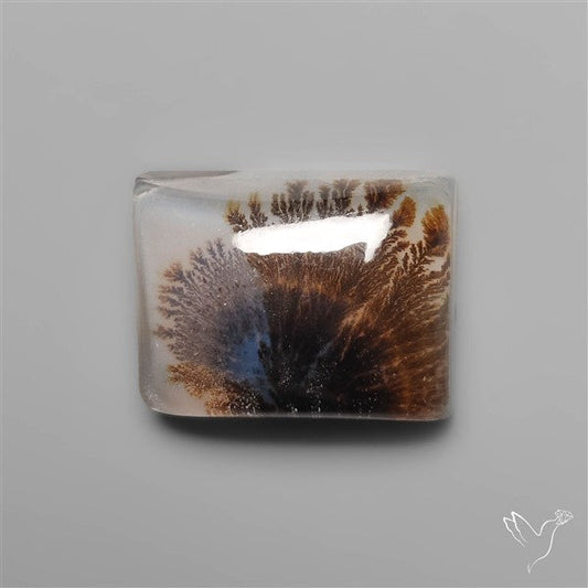 Scenic Dendritic Agate Cabochon Doublet
