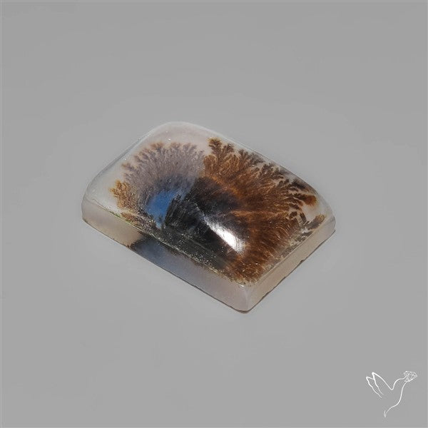 Scenic Dendritic Agate Cabochon Doublet