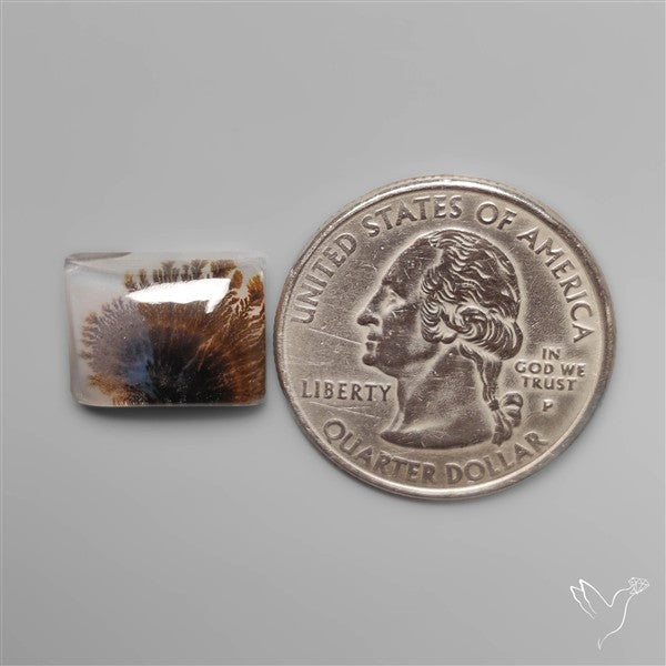 Scenic Dendritic Agate Cabochon Doublet