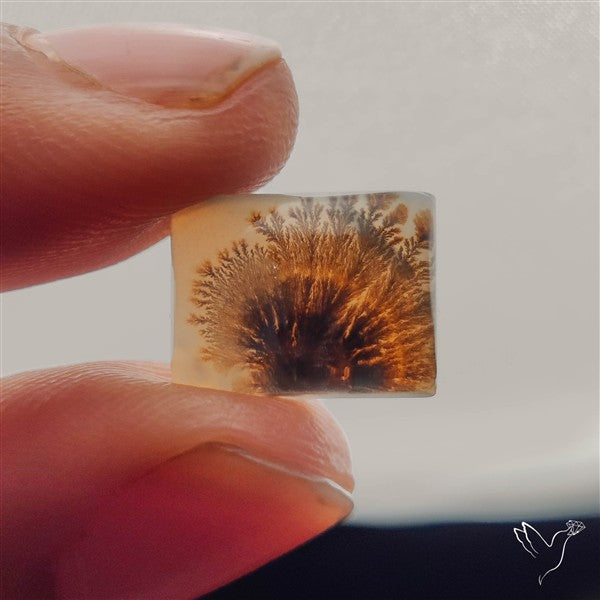 Scenic Dendritic Agate Cabochon Doublet