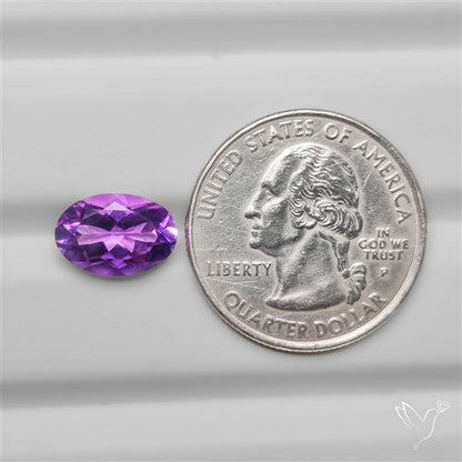 Faceted Brazilian Amethyst