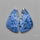 Dumortierite Pair