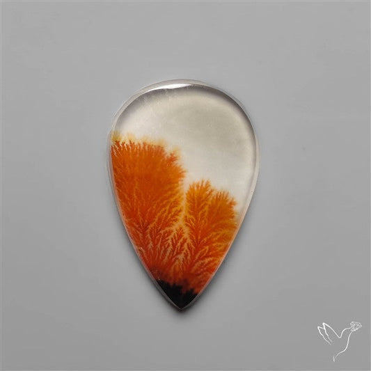 Rare Red Scenic Dendritic Agate