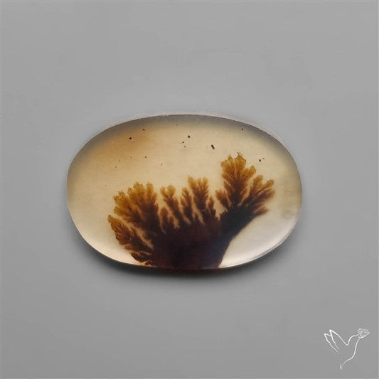 Selected Scenic Dendritic Agate