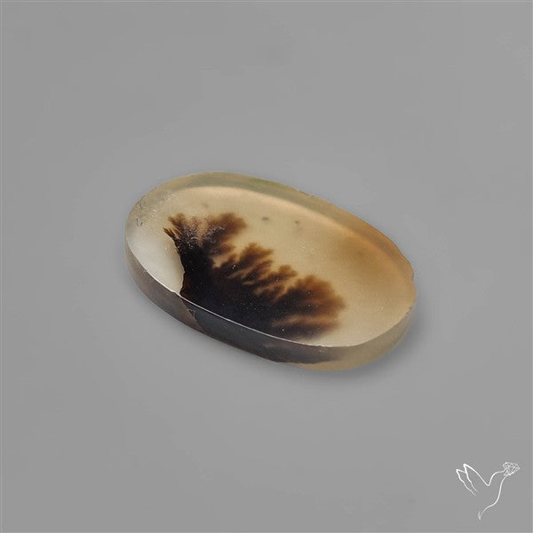 Selected Scenic Dendritic Agate