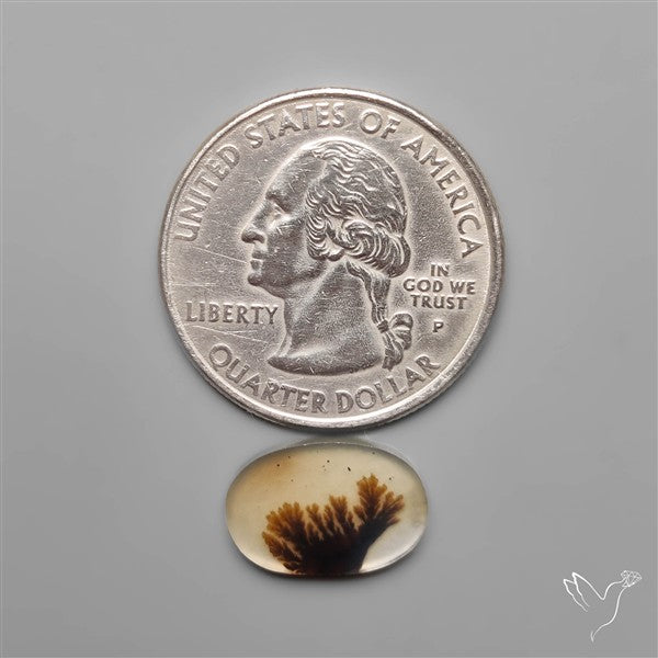 Selected Scenic Dendritic Agate