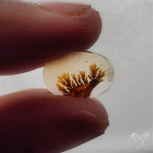 Selected Scenic Dendritic Agate