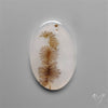 Selected Scenic Dendritic Agate