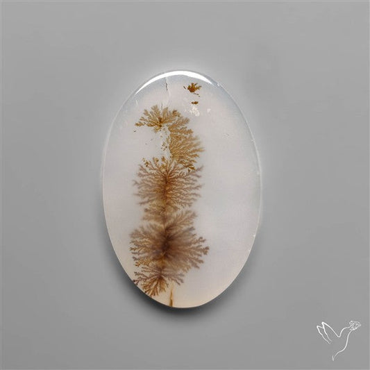 Selected Scenic Dendritic Agate
