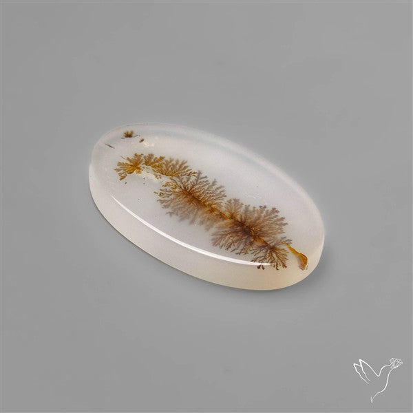 Selected Scenic Dendritic Agate