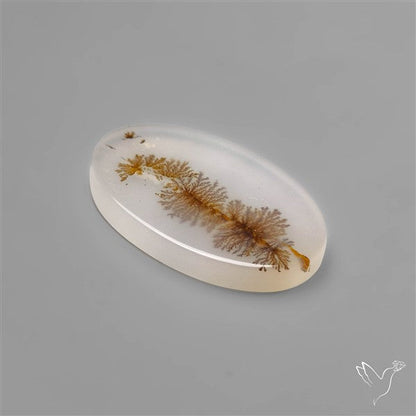 Selected Scenic Dendritic Agate