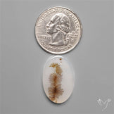 Selected Scenic Dendritic Agate