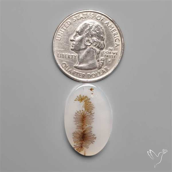 Selected Scenic Dendritic Agate