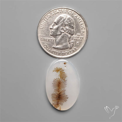 Selected Scenic Dendritic Agate