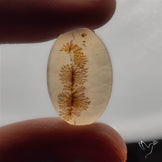 Selected Scenic Dendritic Agate