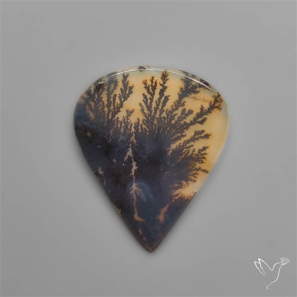 Selected Scenic Dendritic Agate