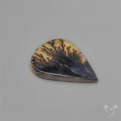 Selected Scenic Dendritic Agate